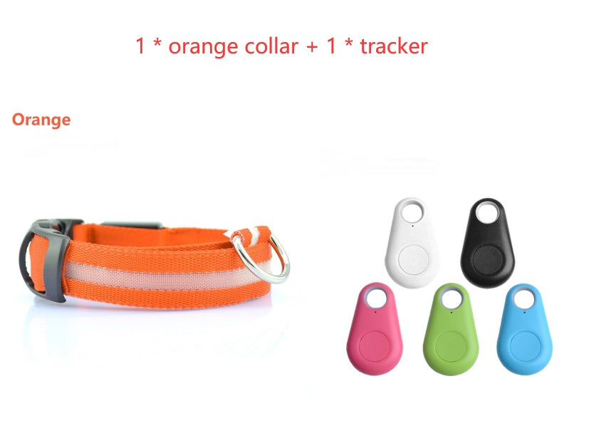 Rechargeable LED Dog Collar - Glow in the Dark Safety Light for Night Walks (Adjustable) - Zaria pets